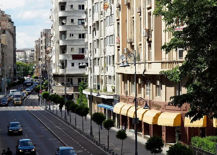 Comfy&bright 2bd Family-friendly Amazing View *