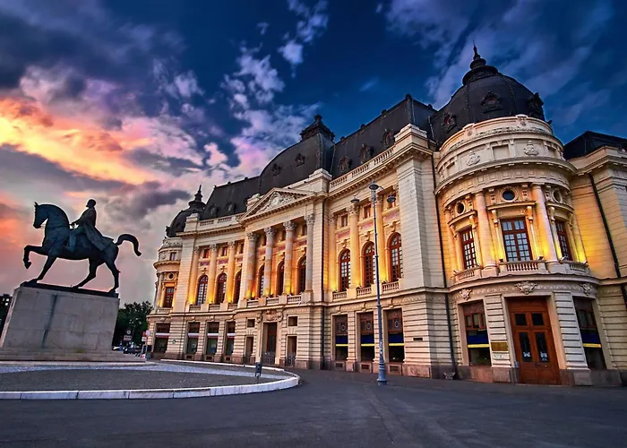 Comfy&bright 2bd Family-friendly Amazing View